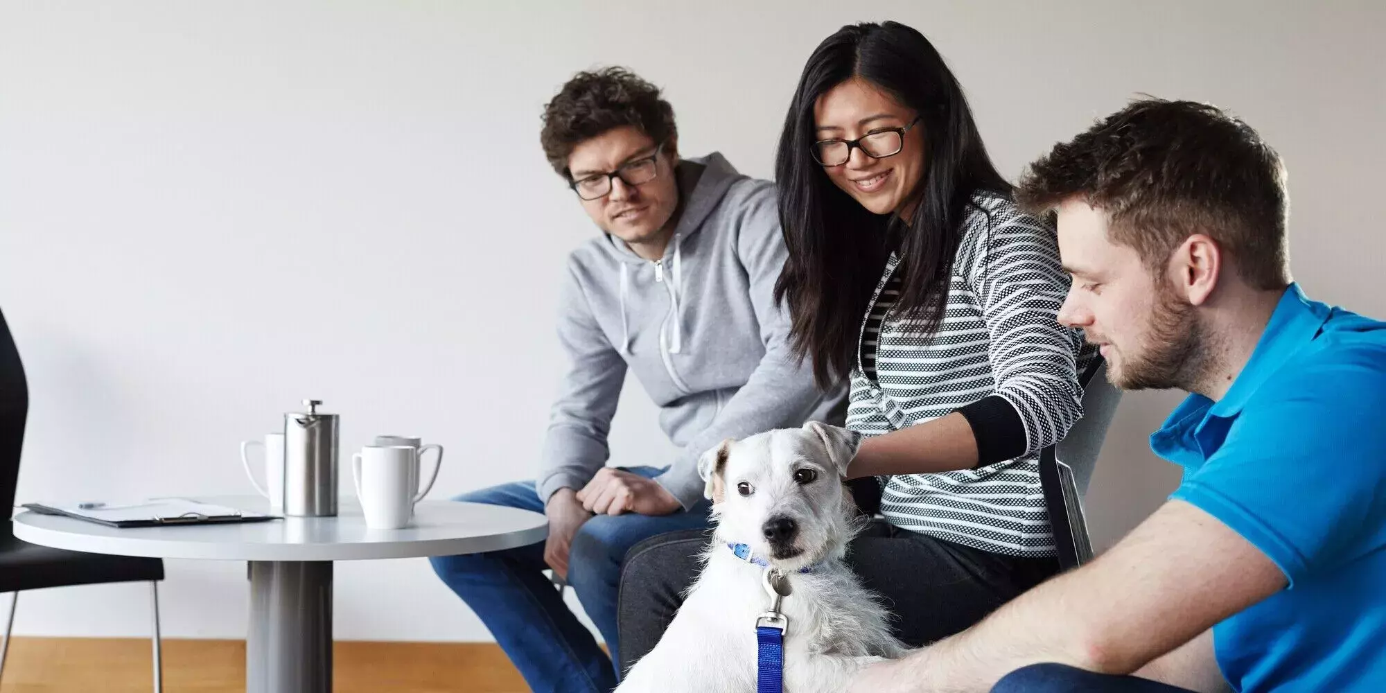 Rehoming Battersea Dogs & Cats Home